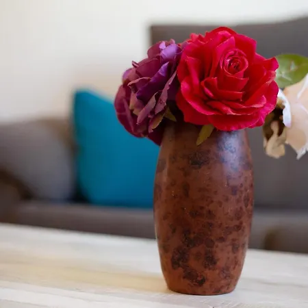 度假居 Casa Tanai